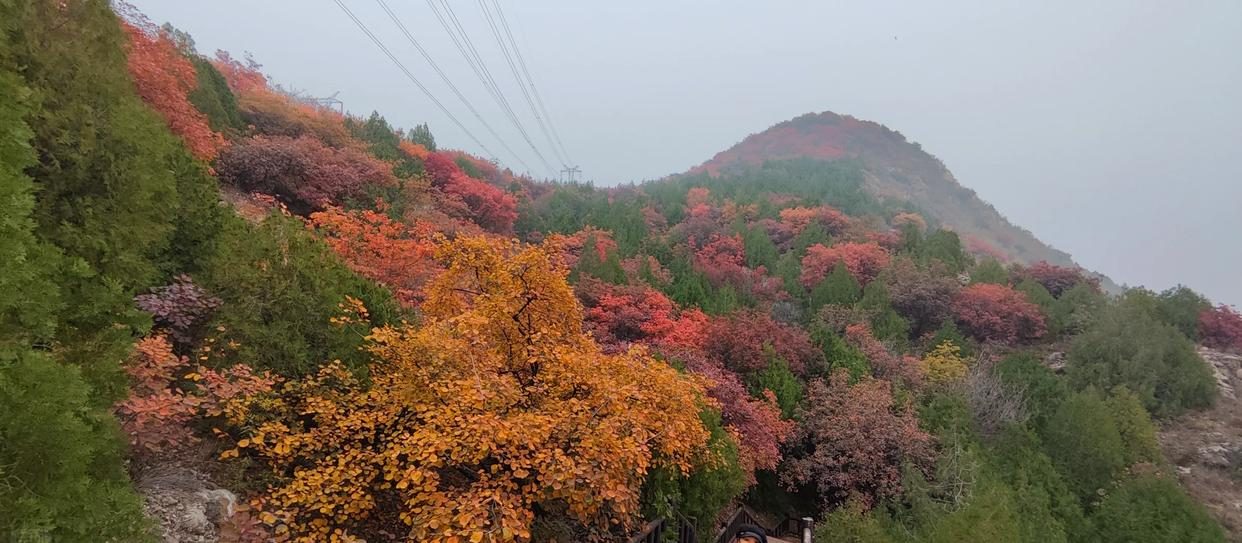 特惠58@舞彩浅山11月1/2日｜顺义赏秋-休闲穿越-别致山景（适合新人体验）