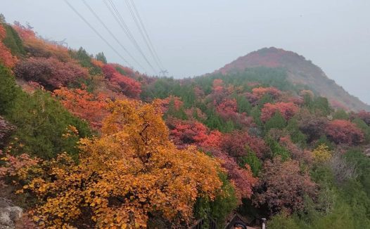 特惠58@舞彩浅山11月1/2日｜顺义赏秋-休闲穿越-别致山景（适合新人体验）