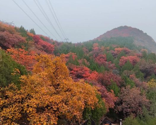 特惠58@舞彩浅山11月1/2日|顺义赏秋-休闲穿越-别致山景(适合新人体验)